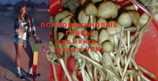 мескалин Майский